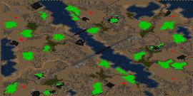 Forest Fires money preview