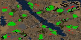 Forest Fires preview