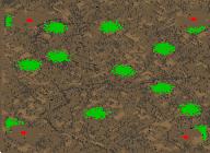 Rough Ground (2-4) preview