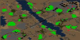 Forest Fires preview