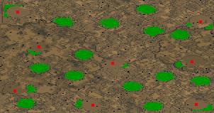 Desert Nights preview