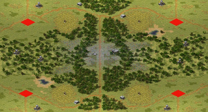 money in the forest preview