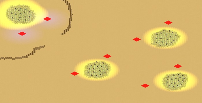 Army of Two (2-8) preview