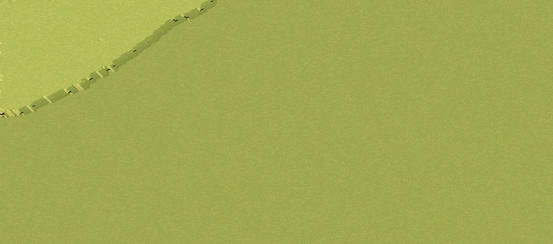 No name preview