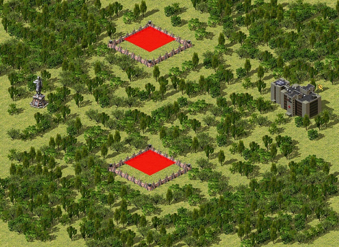 Forrest through the trees preview