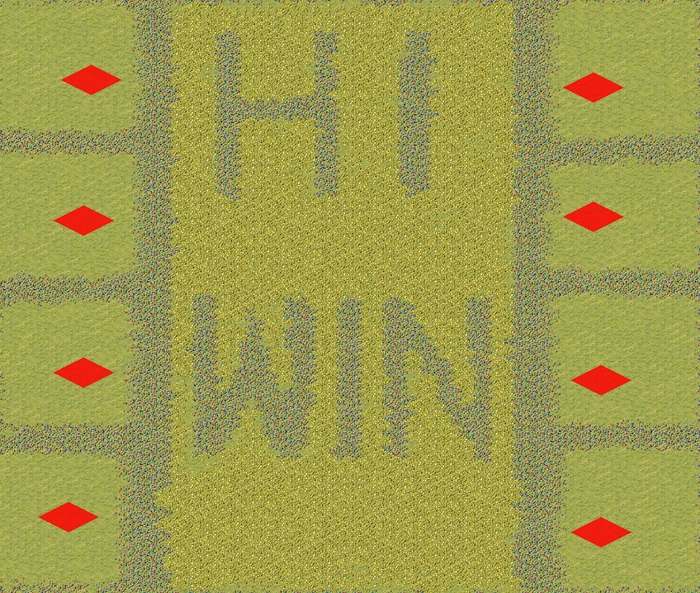 HI WIN preview