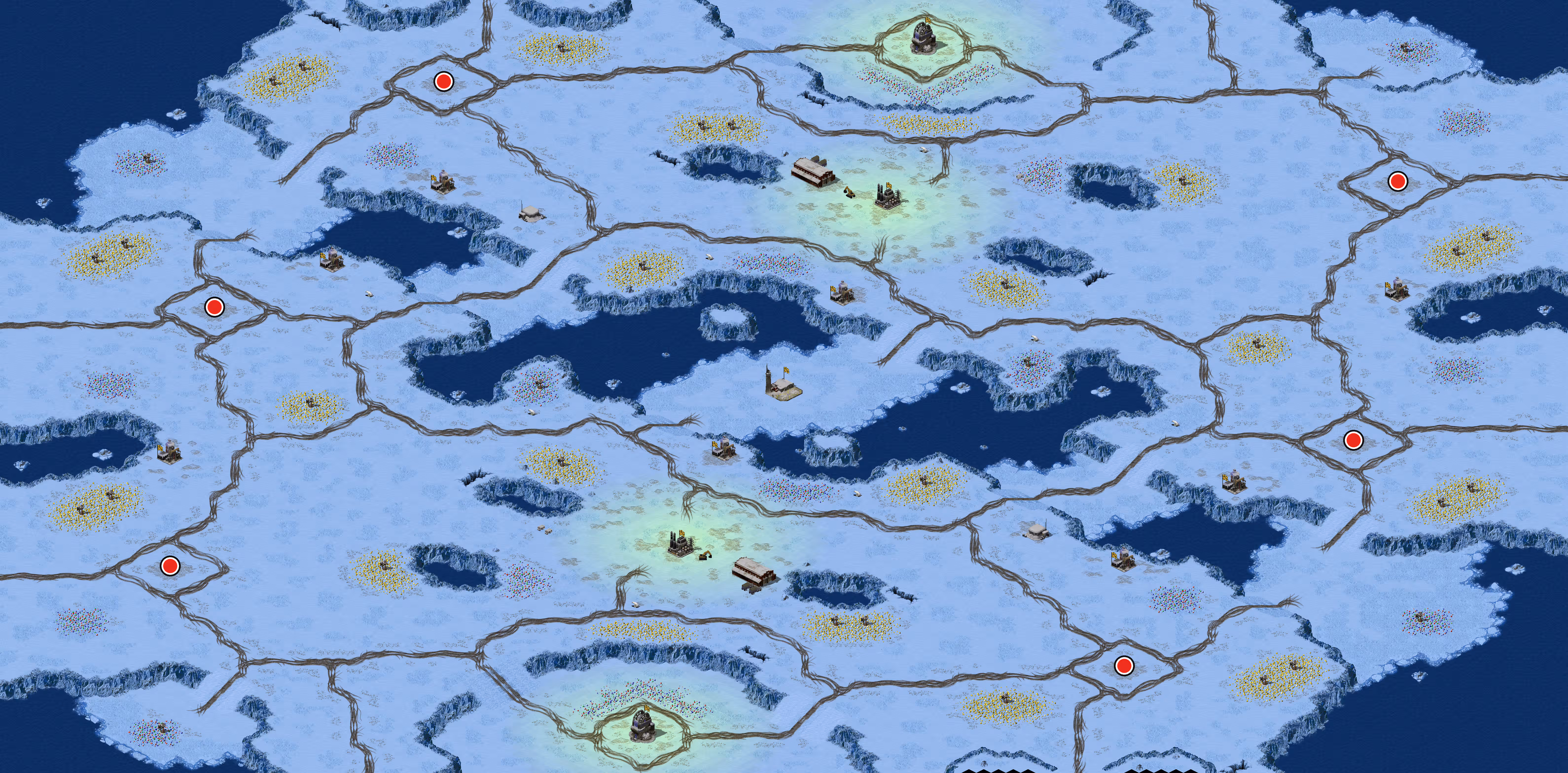 Preview of (6) Ant Arctic