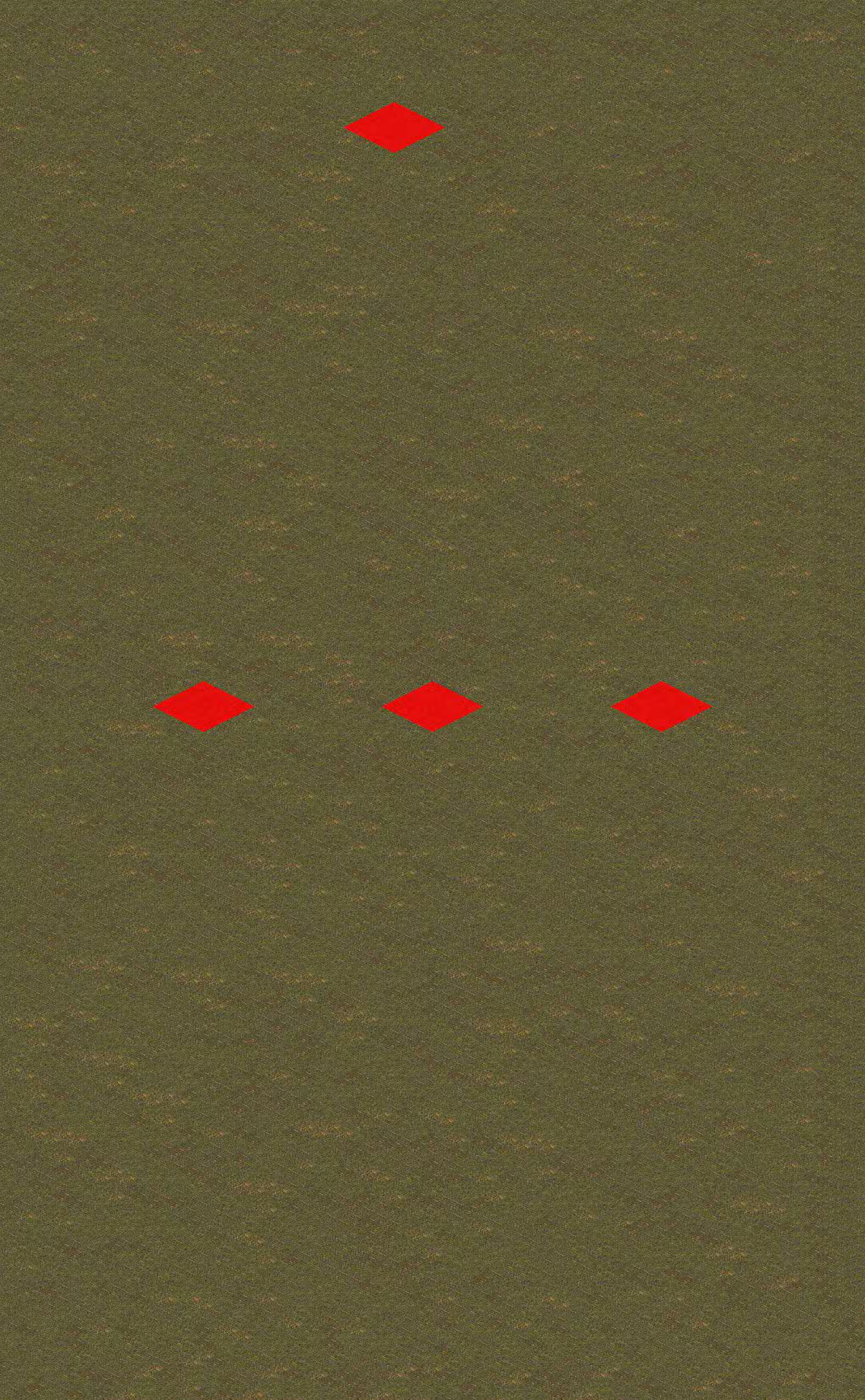 Preview of Slaughter FlyingZ All_Team_A